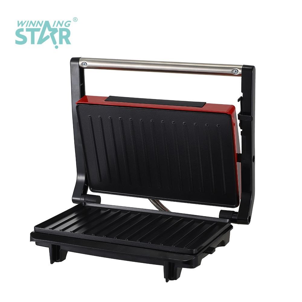 Appareil à sandwich Interchangeable Rayé Plaque Panini