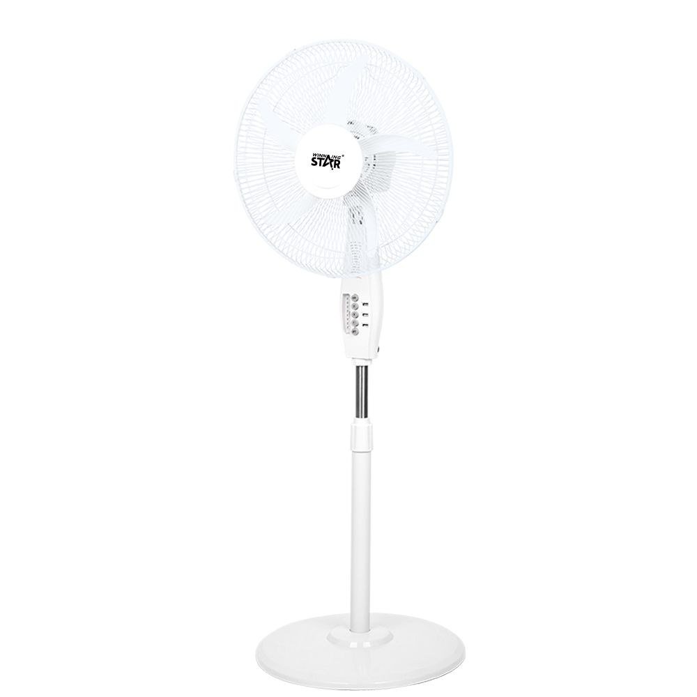 Ventilateur Feuille Électrique Sol