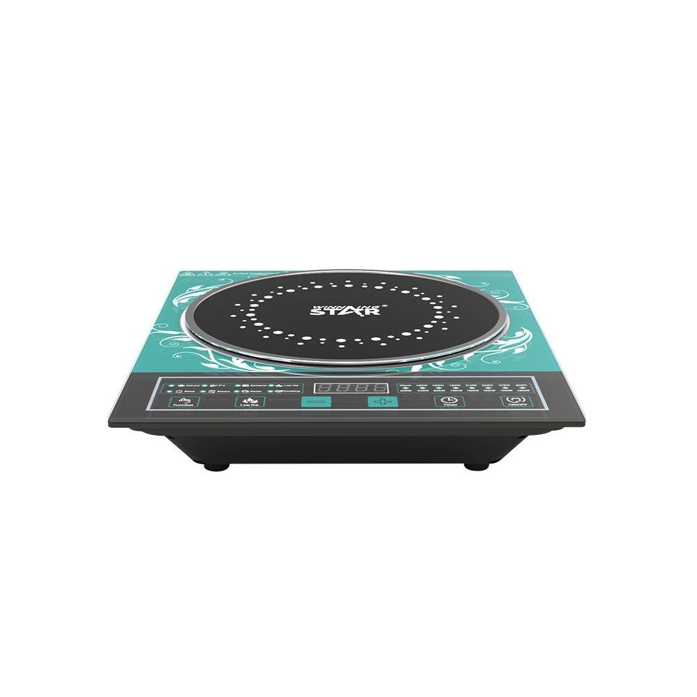 Plaque de cuisson Portable Induction Plaque de cuisson Cuiseur