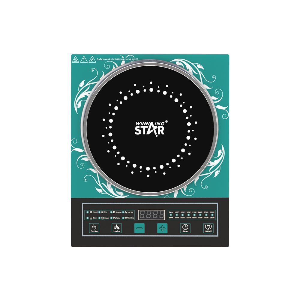 Plaque de cuisson Portable Induction Plaque de cuisson Cuiseur