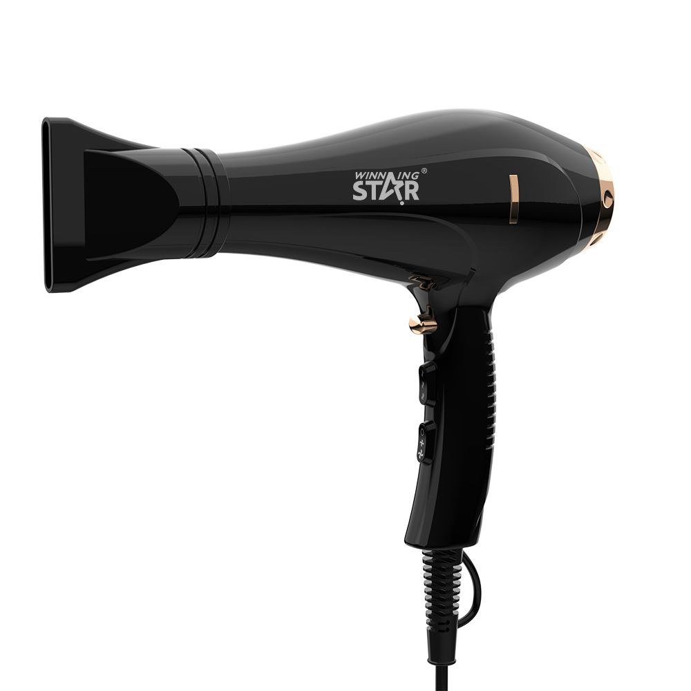 Sèche-cheveux Fabricant Faible Bruit Robuste Vent Salon Professionnel