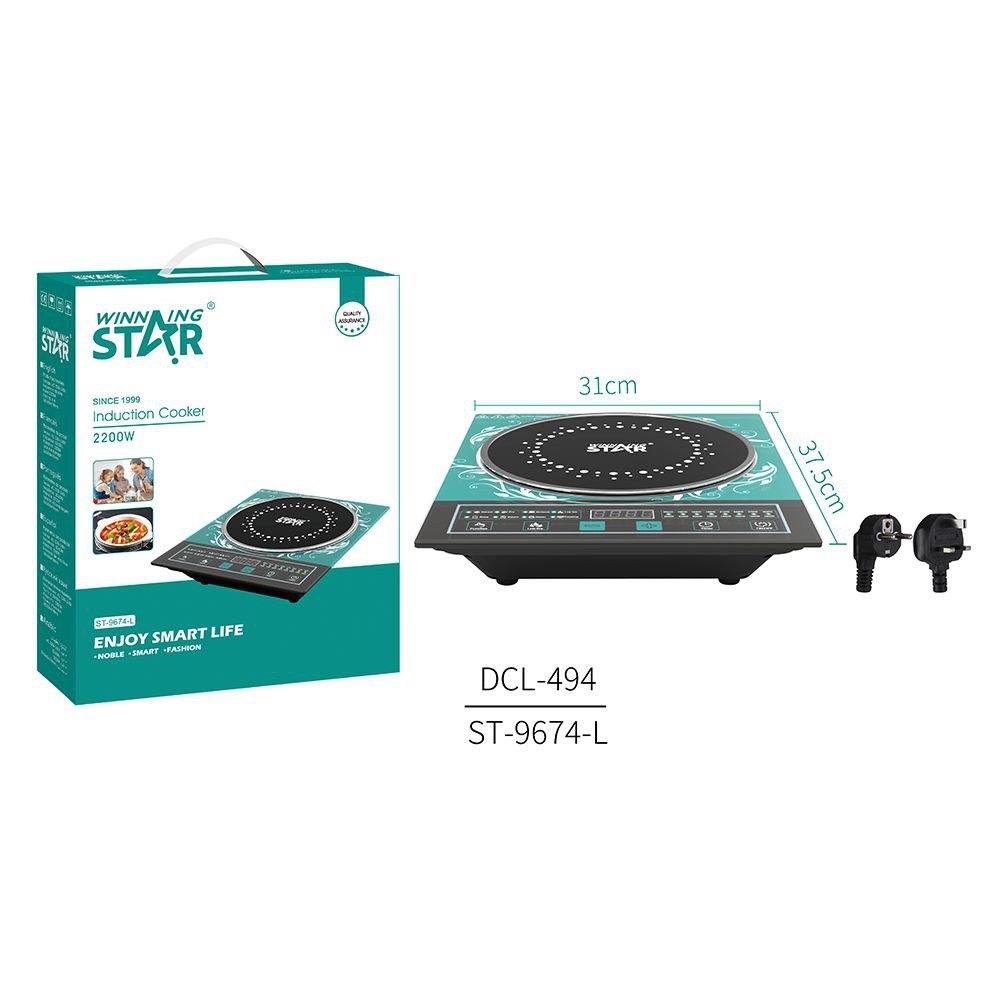 Plaque de cuisson Portable Induction Plaque de cuisson Cuiseur