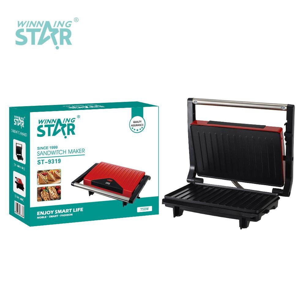 Appareil à sandwich Interchangeable Rayé Plaque Panini