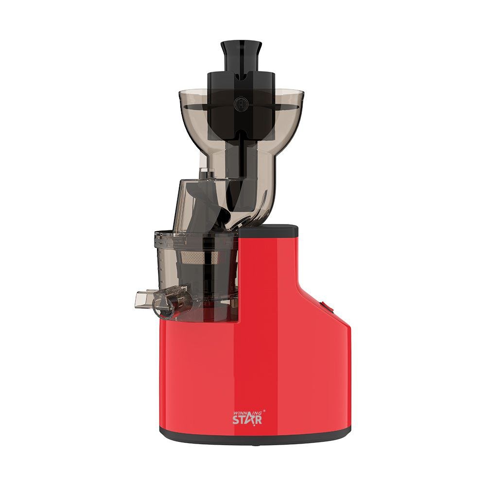 Blender Électrique Jus Extracteur Lent