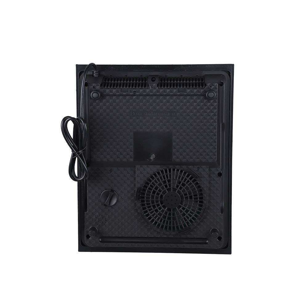 Plaque de cuisson Portable Induction Plaque de cuisson Cuiseur