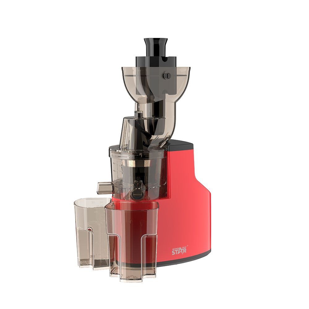 Blender Électrique Jus Extracteur Lent